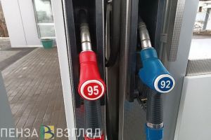 В Пензенской области за август подорожали медикаменты и бензин