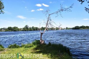 В купальный сезон 2025 года в водоемах Пензенской области погибли 6 человек