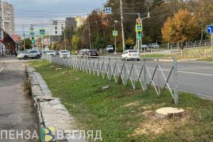 На улице Куйбышева в Пензе вырубают деревья