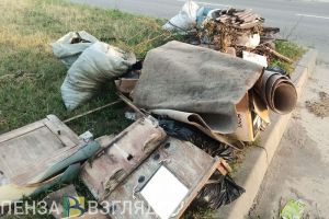 В Кузнецке на контейнерных площадках будут убираться после работы регоператора