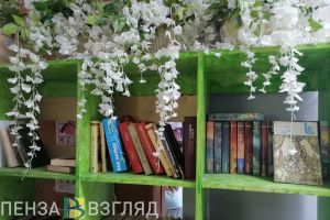 В трех районах Пензенской области появятся модельные библиотеки