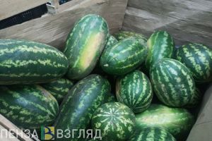 В августе впервые за три года снизились цены в Пензенской области