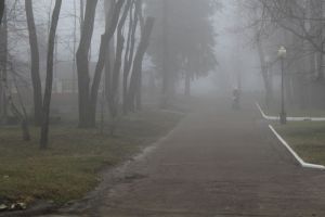 В Пензенской области 2 октября ожидается туман