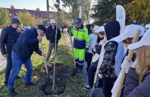 В Пензе высадили еще 50 деревьев