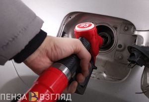 Губернатор Пензенской области назвал причину проблем с бензином на некоторых АЗС