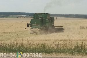 Из Пензенской области экспортировали более 4 тысяч тонн зерна