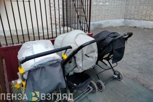Для многодетных семей в Пензенской области установили новую льготу