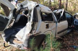 В Чаадаевке автомобиль съехал с дороги и перевернулся