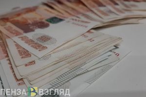 Пензенцы смогут получить деньги на реализацию проектов родительских комитетов