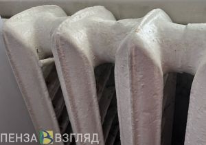 Более 1650 обращений зафиксировал пензенский ЦУР за неделю