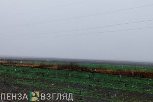 Первый снег в Пензенской области может выпасть уже в ноябре