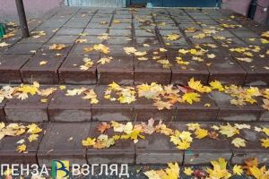 Дождливая и туманная погода ждет жителей Пензенской области 7 октября