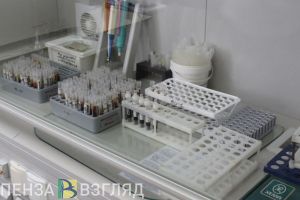 Пензенцев предупреждают об осенней активности клещей