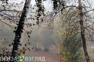 В Пензенской области потеплеет до +19 при сильном тумане
