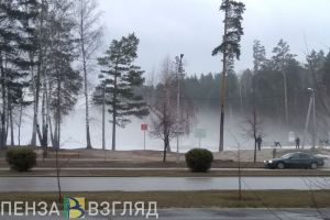 Пензенская Госавтоинспекция обратилась к водителям в связи с густым туманом