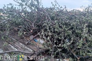 Власти Земетчинского района позвали на субботник недовольных свалками