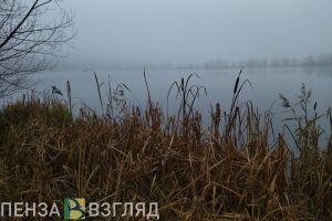 В Пензенской области завершились поиски пропавшего подростка