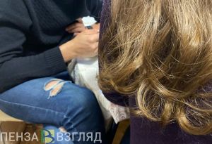 В с. Телегино свекровь узнала о диагнозах невестки и потребовала рассказать мужу