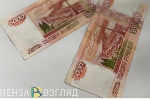 Несколько видов налогов будут взыскивать с пензенцев без суда