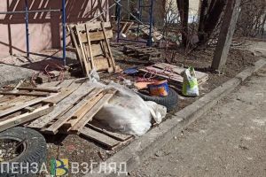 Костин ответил зареченцам на вопросы о ремонте школы №225 и садика №19