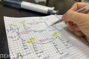 Все бюджетные места для пензенцев в медвузах предложили сделать целевыми