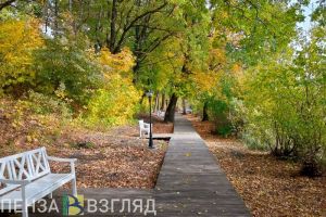 В четверг в Пензенской области ждут осеннее тепло и сухую погоду