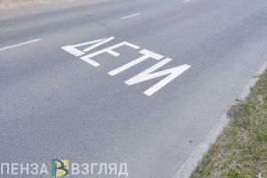 В Кузнецке вынесли приговор водителю, сбившему насмерть несовершеннолетнюю