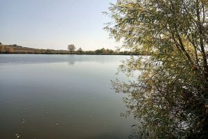 Ловлю карпов килограммами: всем на зависть - друзьям рассказываю про одну хитрость