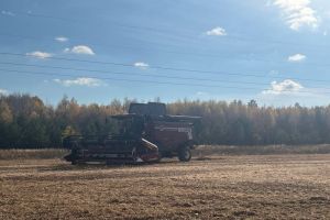 Уборка технических культур в Пензенской области проведена на 63% от плана
