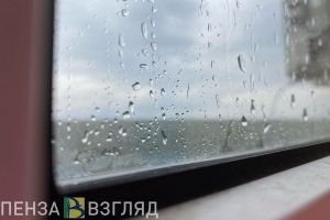 10 октября в Пензенской области ожидается дождливая погода