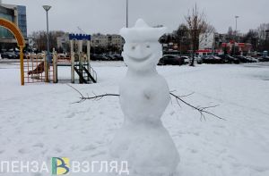 Новогодние выходные для пензенцев продлятся 12 дней