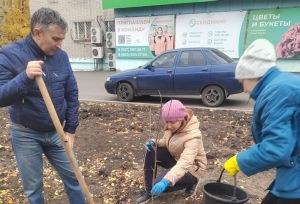 В Сердобске высадили молодые рябины