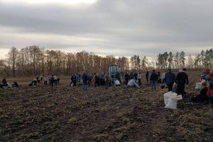 В Пензенской области фермеры передали 10 тонн овощей для суповых наборов бойцам