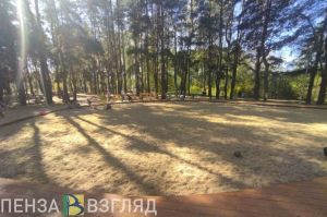 Установку аттракционов в «Семейном» сквере в Пензе пока что не планируют
