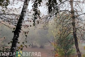 В субботу в Пензенской области синоптики ждут пожаров, дождей и сухую погоду