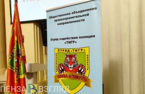 За 9 месяцев в Пензенской области «тигры» вышли на дежурства более 10 тысяч раз