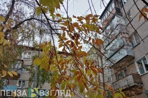 Пензенцев предупредили о порывах ветра до 18 метров в секунду