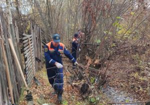 В Пензенской области пожарные помогли участнице ВОВ