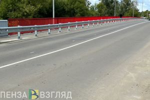 В Пензе хотят проверить состояние 839 участков дорог