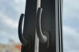 Мужское счастье цветет постоянно с тех пор, как купила в феврале: как ухаживаю