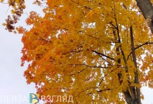 Пензенцев предупредили о желтом уровне погодной опасности 14 октября