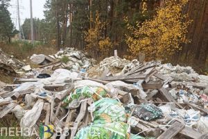 В лесополосе неподалеку от федеральной дороги пензенцы обнаружили свалку