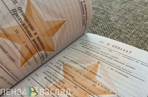 Житель Наровчатского района украл у отца погибшего военного 1,6 млн рублей