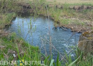 У жителя Пензенского района отсудили землю у ручья Шиверга