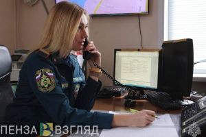 Пензенцам назвали сумму штрафа за ложный вызов сотрудников МЧС