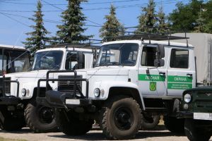 В Пензенской области завершился пожароопасный сезон в лесах