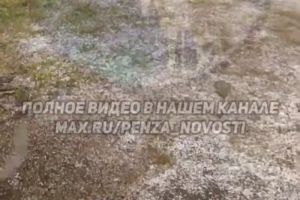 Жители Бессоновского района сообщают о выпавшем снеге