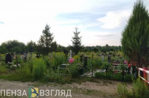 В Пензе идет работа по сохранению могил деятелей культуры, медицины и педагогики