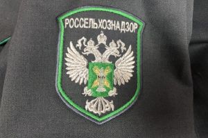 Пензенская агрофирма обрабатывала смородину неподходящим химикатом