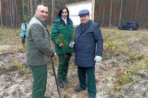 Директором Ломовского лесничества назначен Павел Буренков